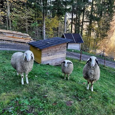 Вілла Ferienhaus Waldenstein 1 Екстер'єр фото